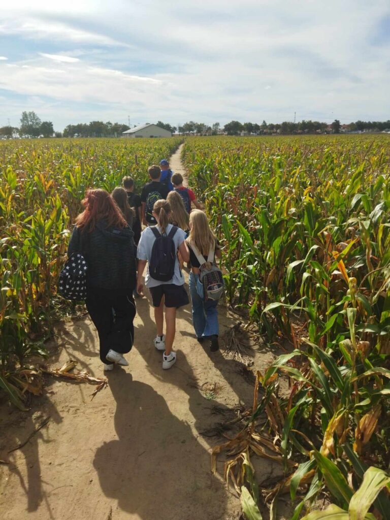 uczniowie idący przez pole kukurydzy