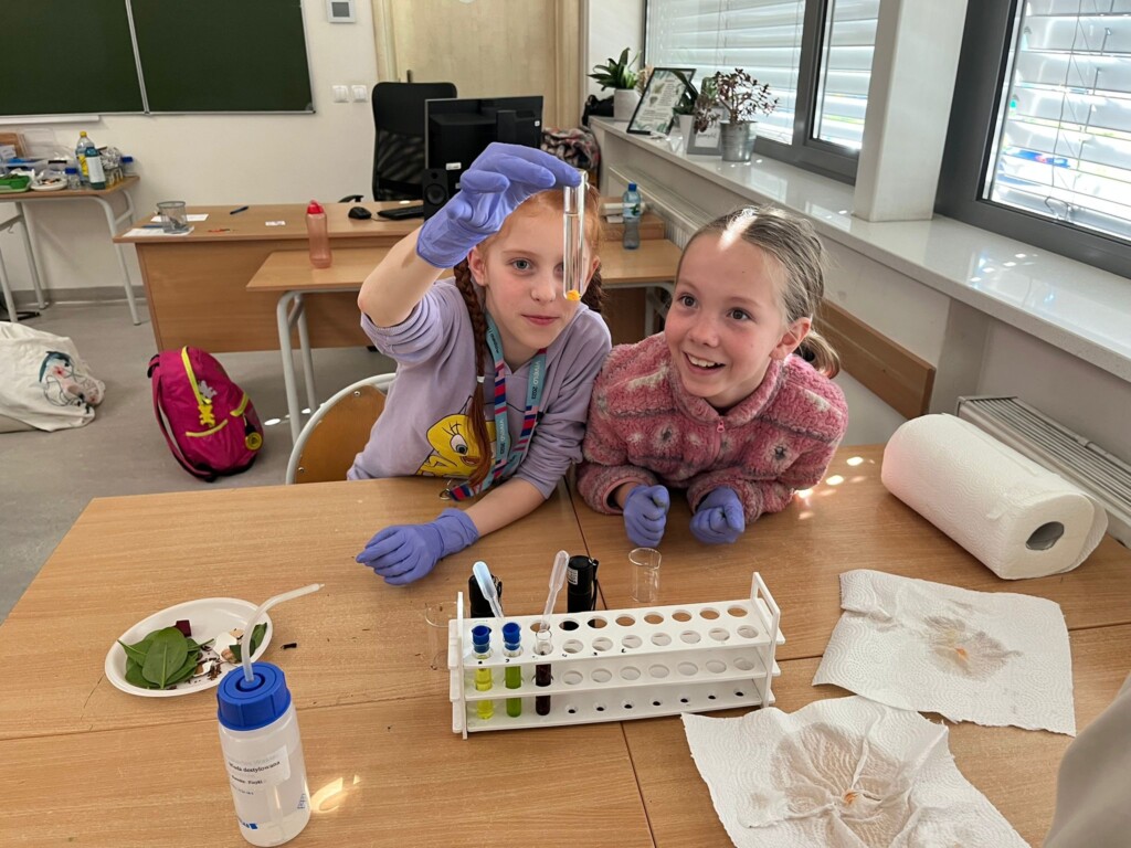 VIII Szkolny Piknik Naukowy